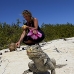 iguana_cuban_jar_v_1725_cub3669.jpg